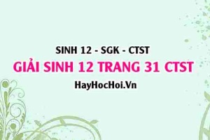Giải Sinh 12 trang 31 Chân trời sáng tạo SGK